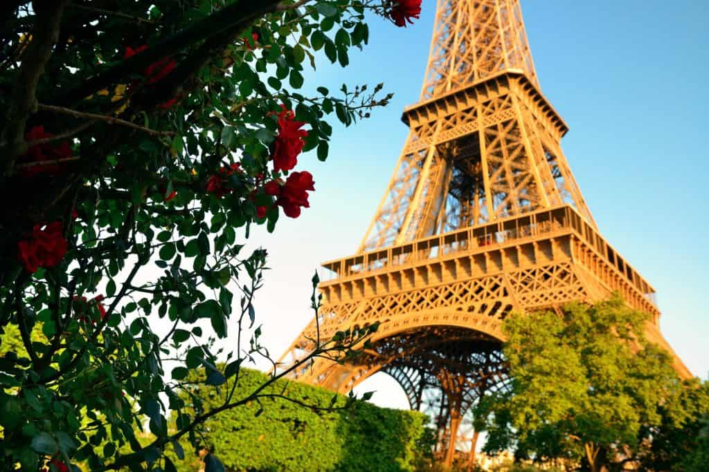 Torre Eiffel vista de baixo com árvores e flores ao redor.